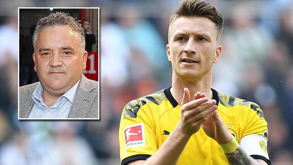 森林狼的逆 森林狼的逆